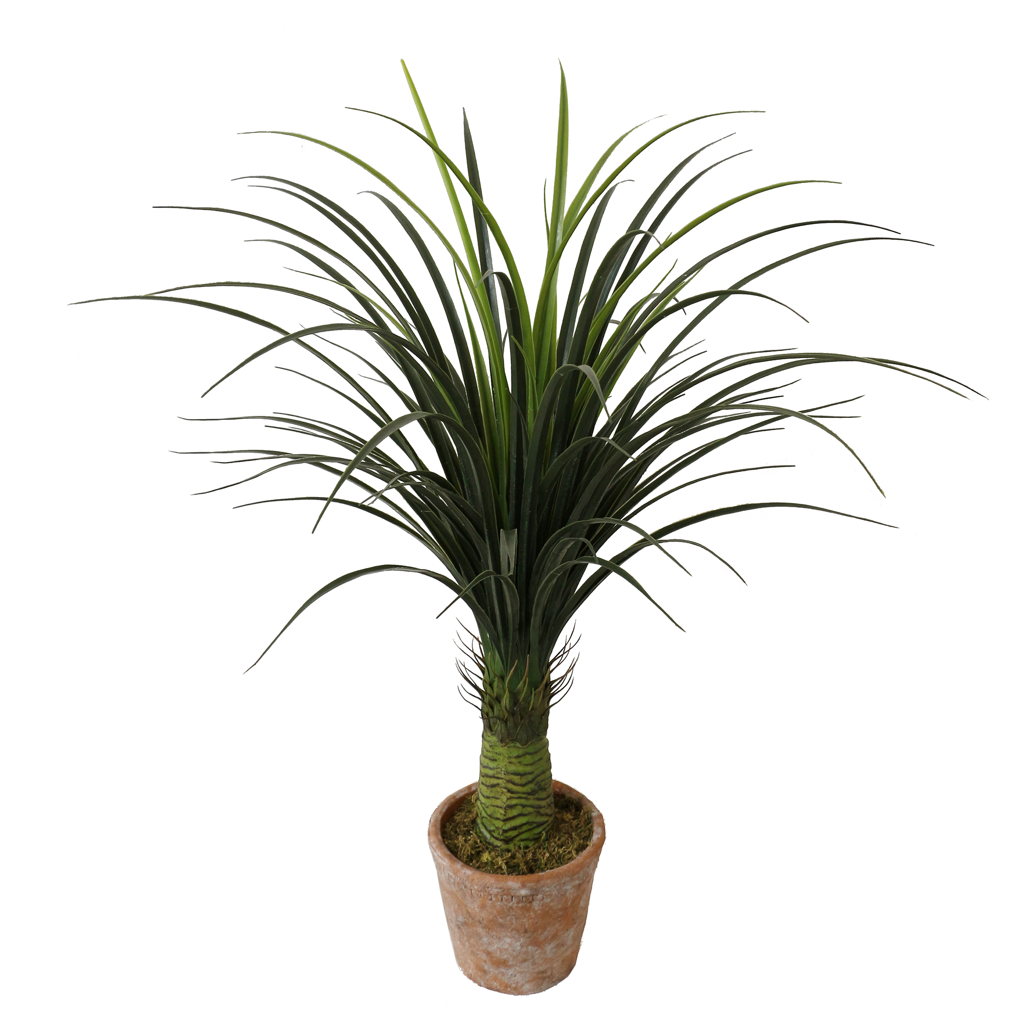 Medium Artificial Dracaena Tree
