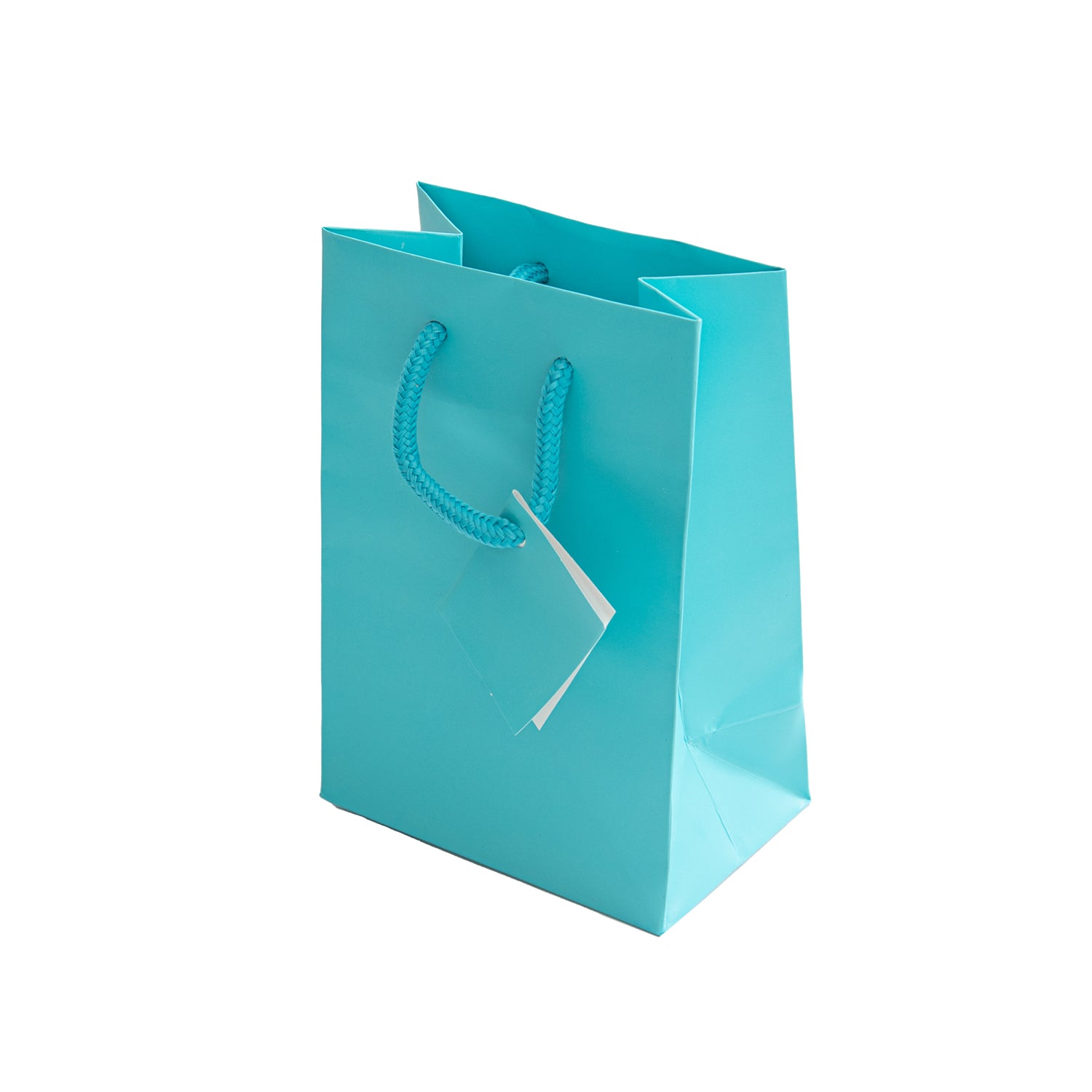 Laminated Matte Euro Tote Bags