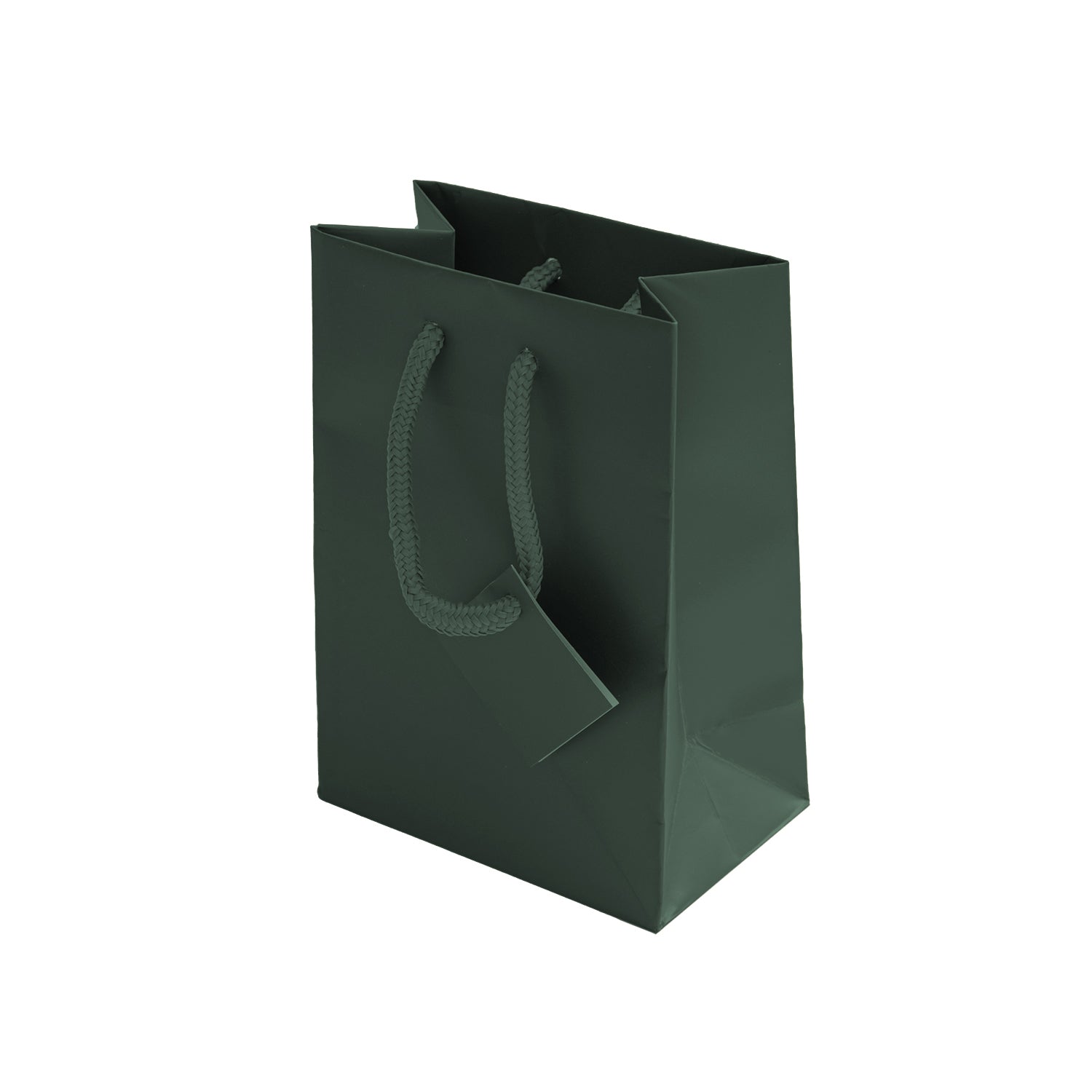 Laminated Matte Euro Tote Bags