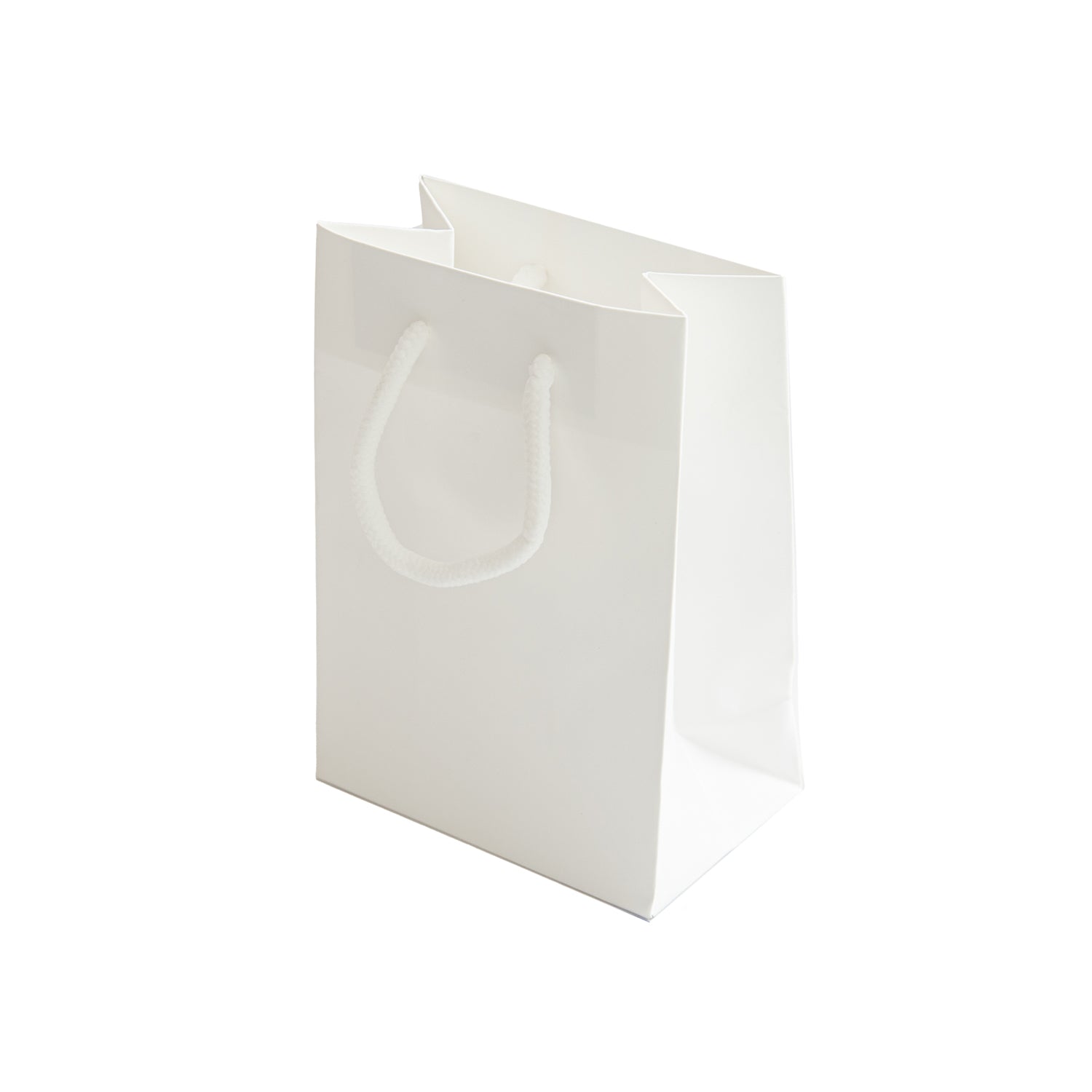 Laminated Matte Euro Tote Bags