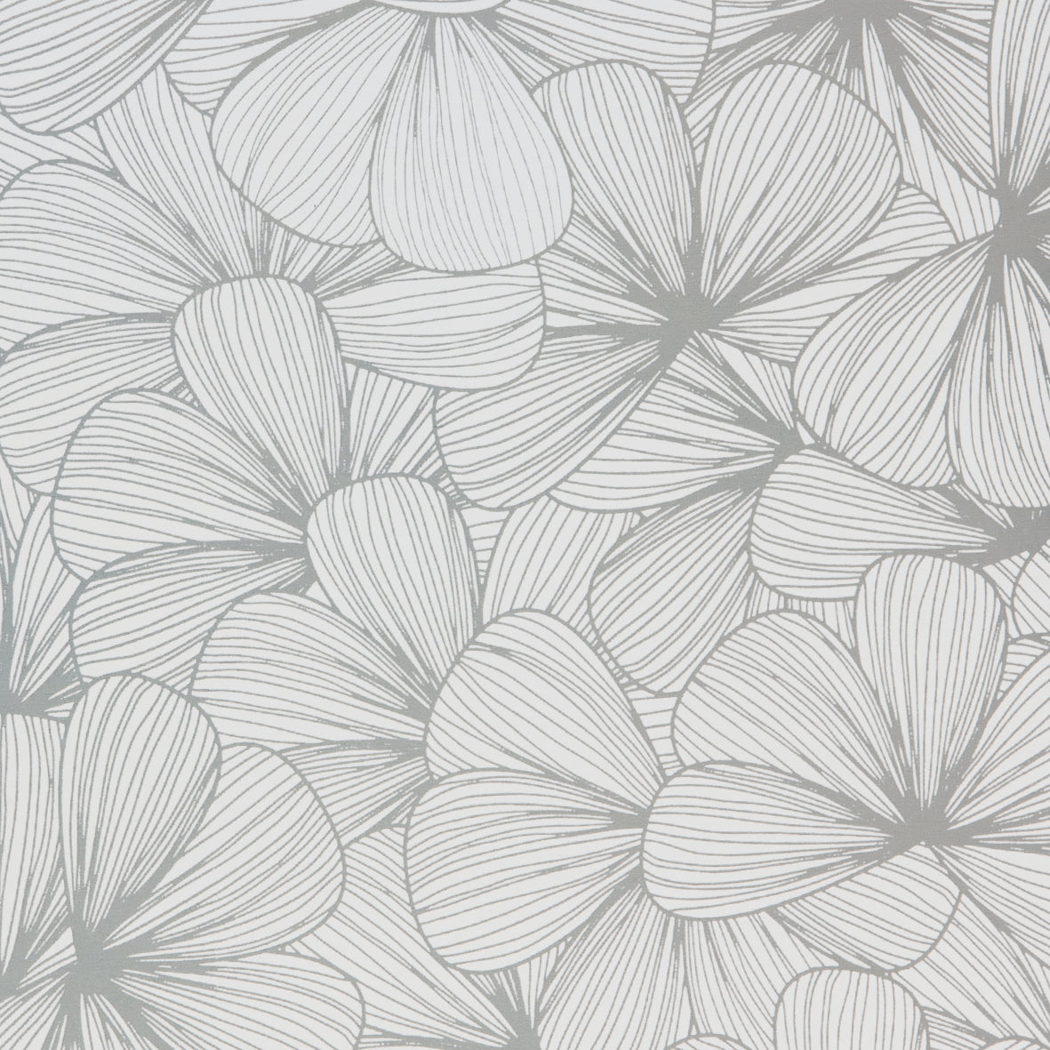 White and Silver Metallic Flower Outlines Wrapping Paper