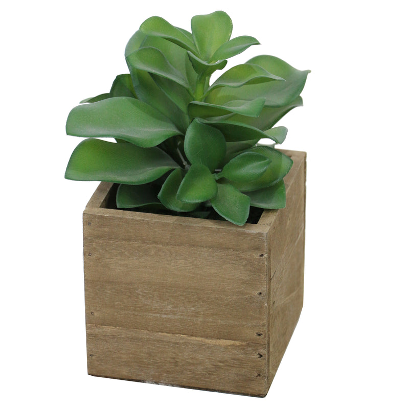 Lifelike Plant in Rustic Wooden Pot
