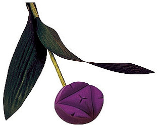 Tulip Ring And Earring Box