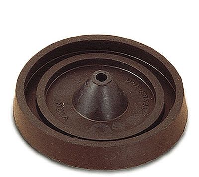 Universal Spruce Base