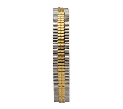 Woman's Watch Band-Expandable- Two Tone