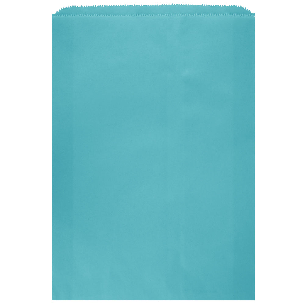 Colored Flat Paper Merchandise Bag