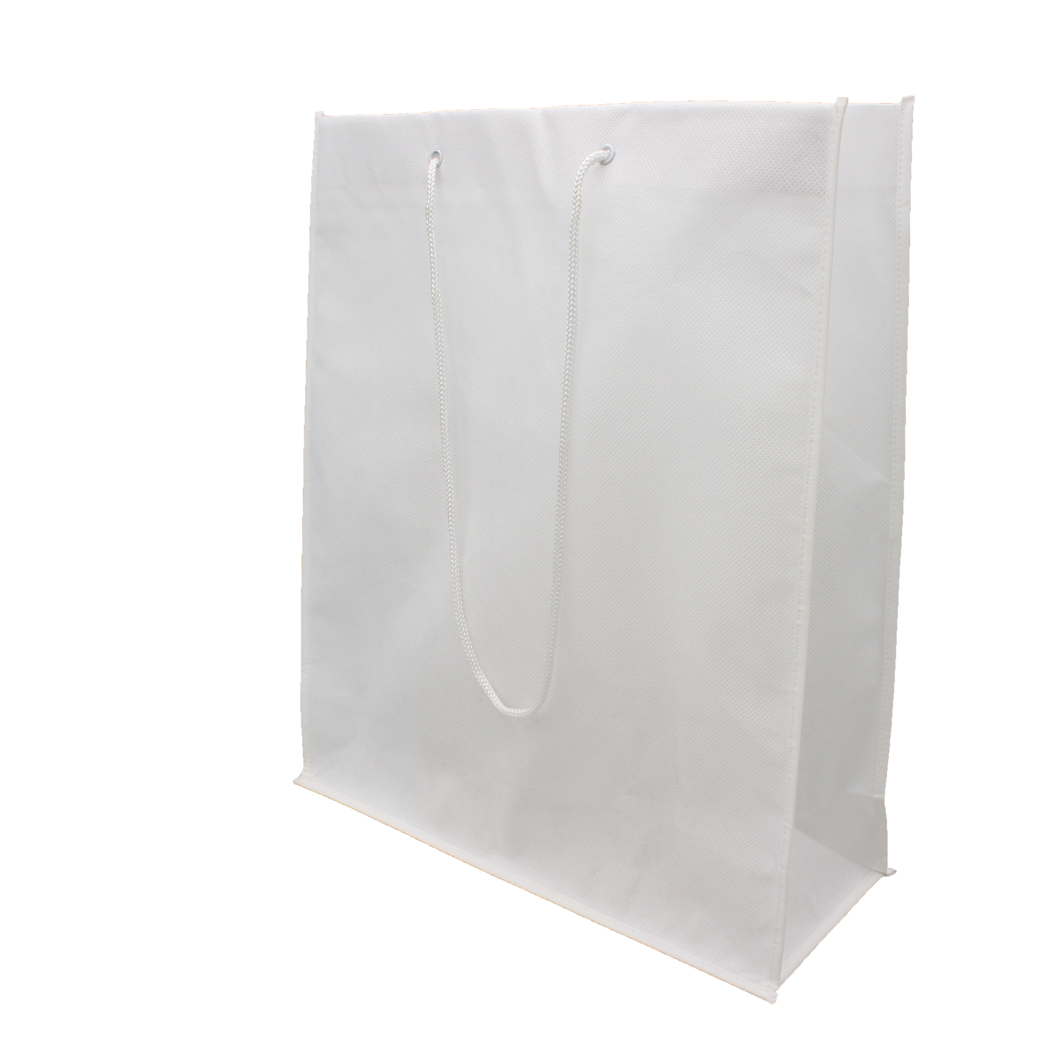Nonwoven Bag with Rope Handles