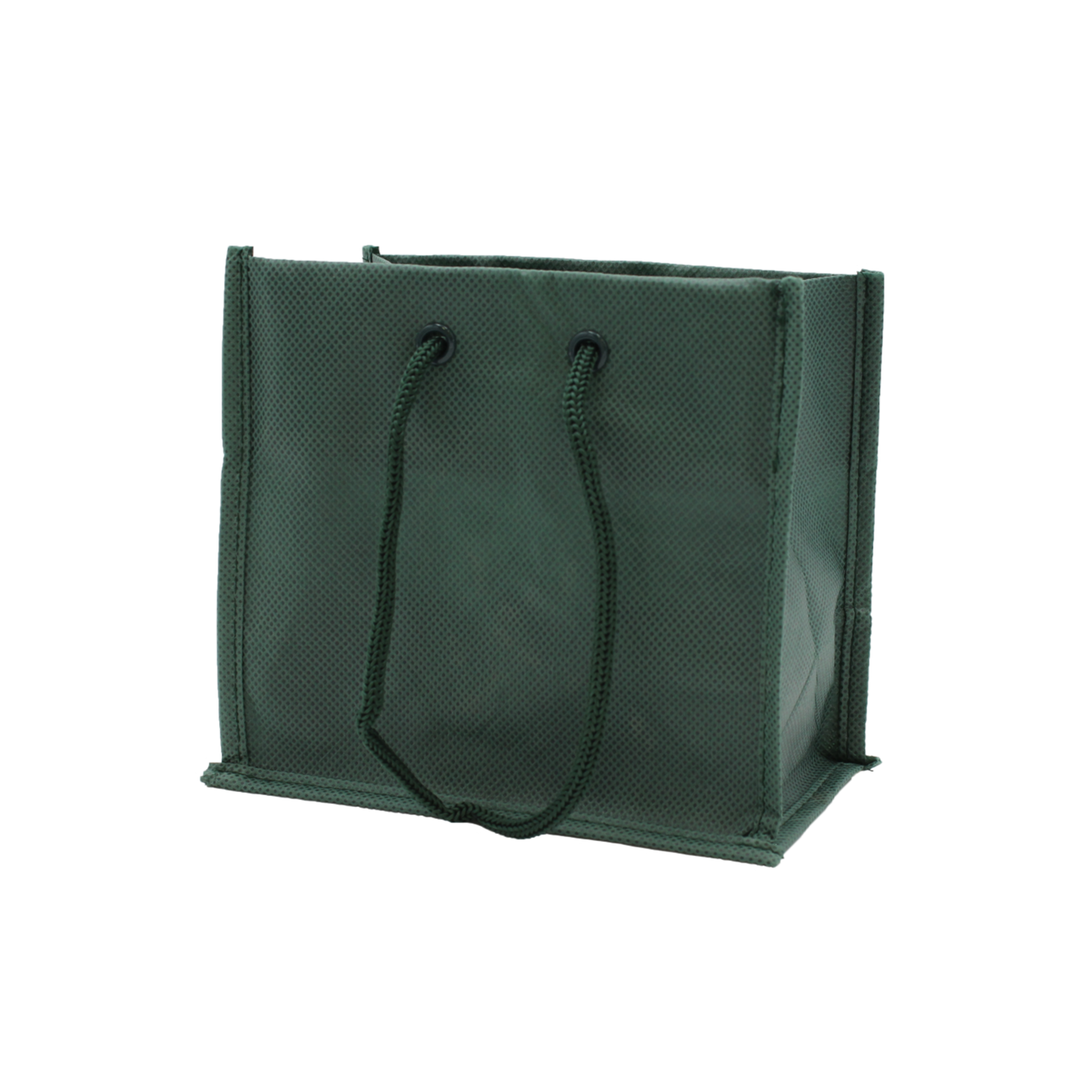 Nonwoven Bag with Rope Handles