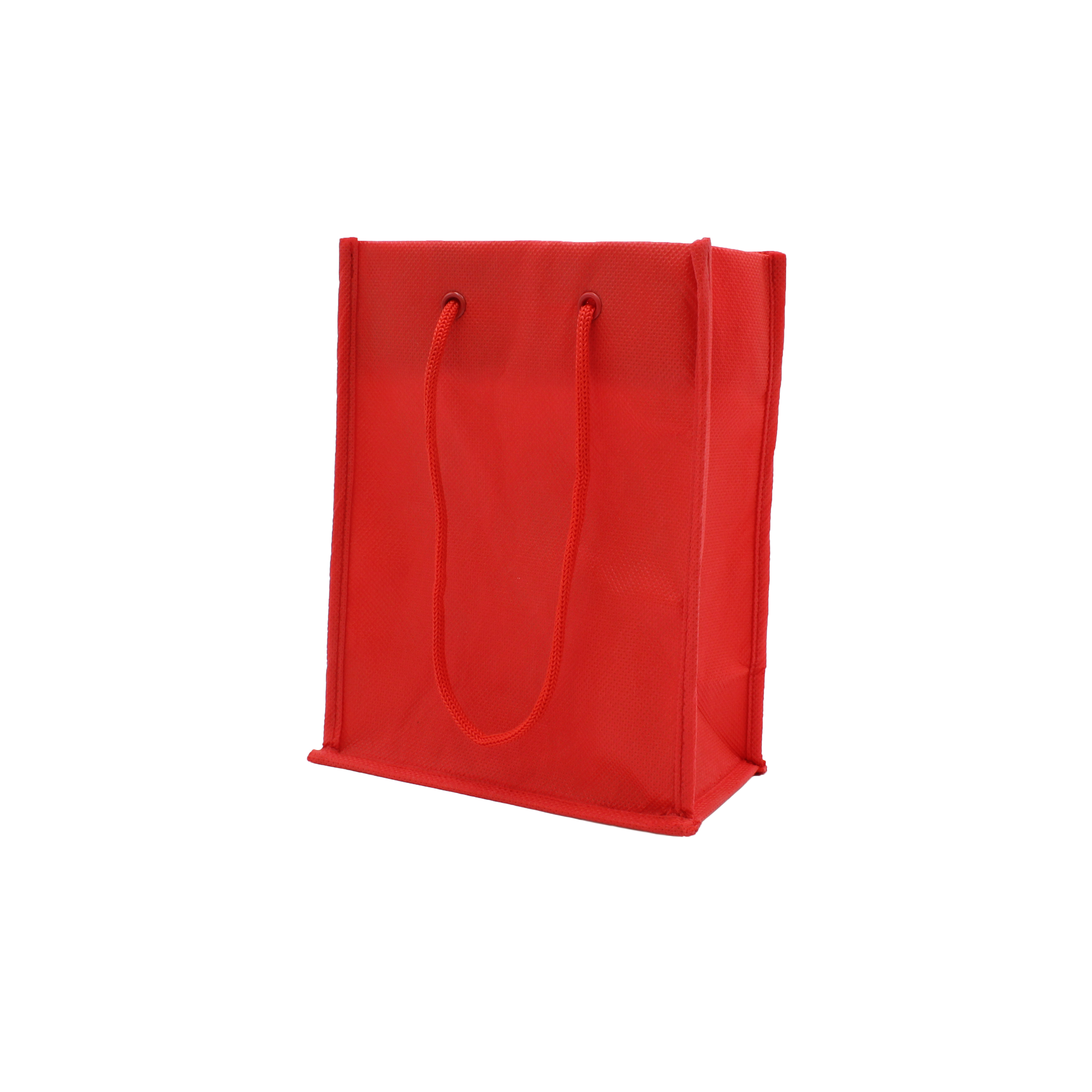 Nonwoven Bag with Rope Handles