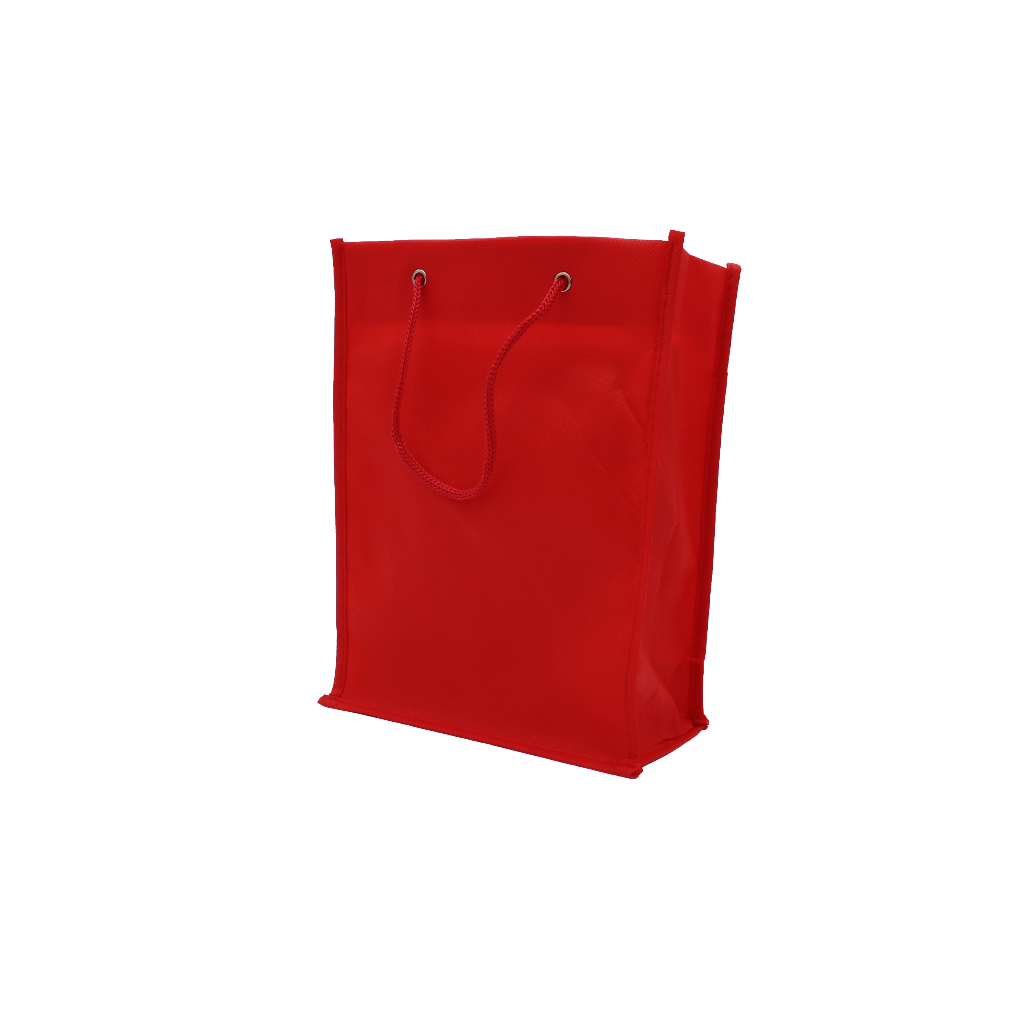 Nonwoven Bag with Rope Handles