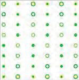 Stripes and Dots Cellophane Rolls