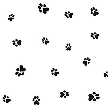 Animal Print Cellophane Rolls