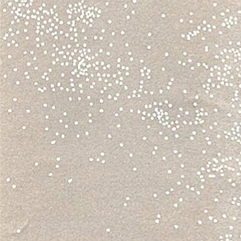 Stripes and Dots Cellophane Rolls