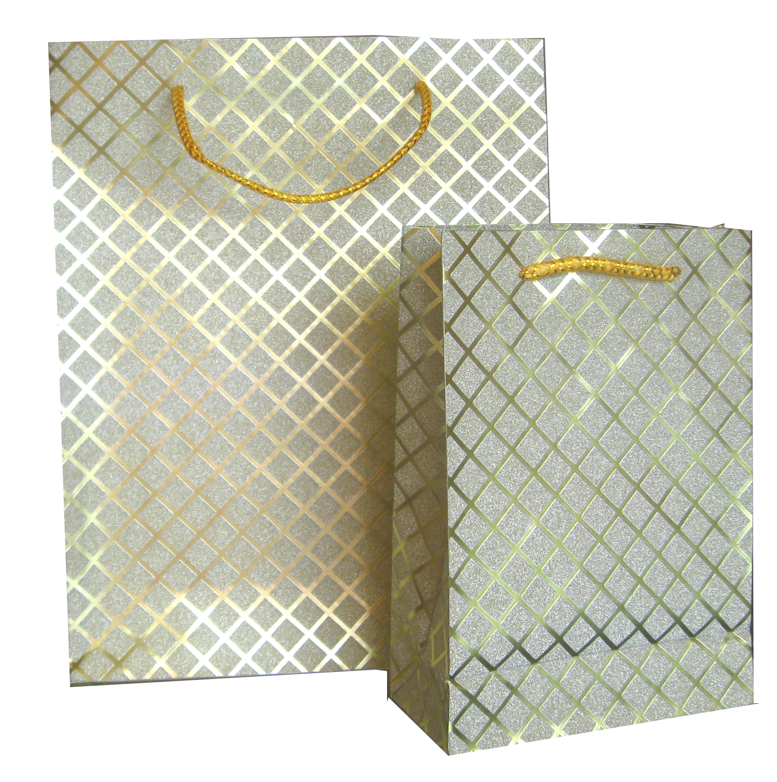 Glitter Bag