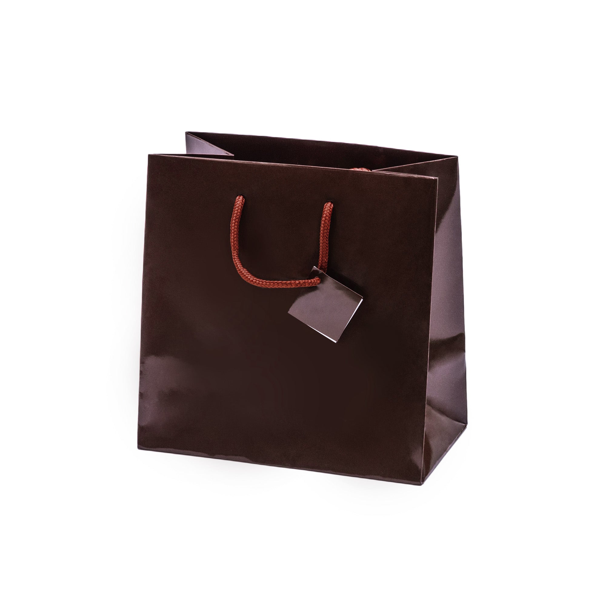 Laminated Glossy Euro Tote Bags