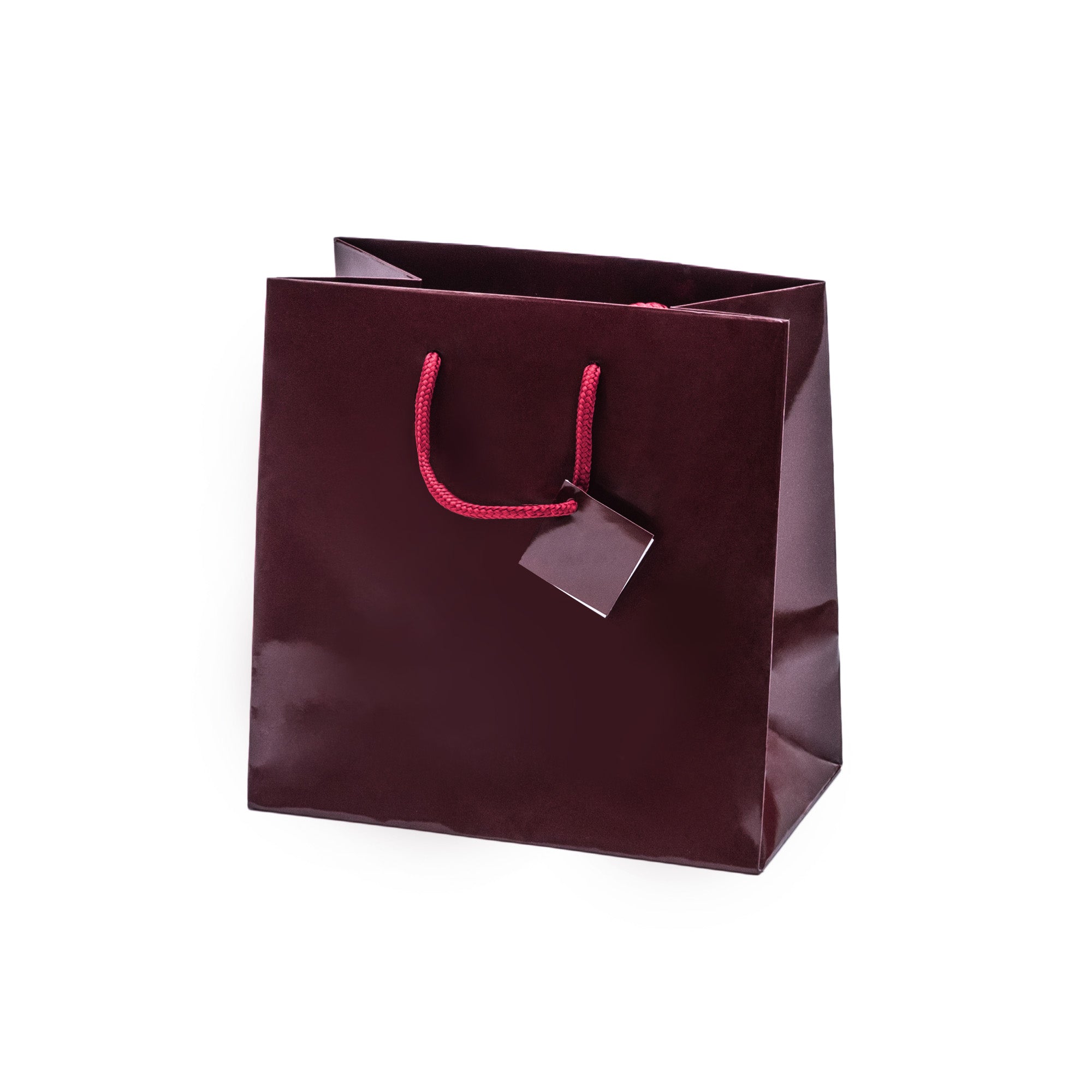 Laminated Glossy Euro Tote Bags