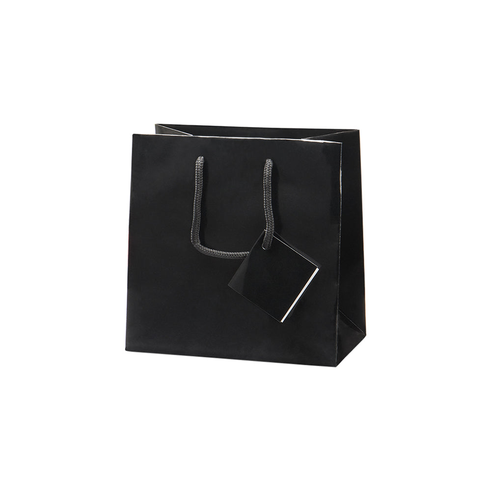 Laminated Glossy Euro Tote Paper Bags