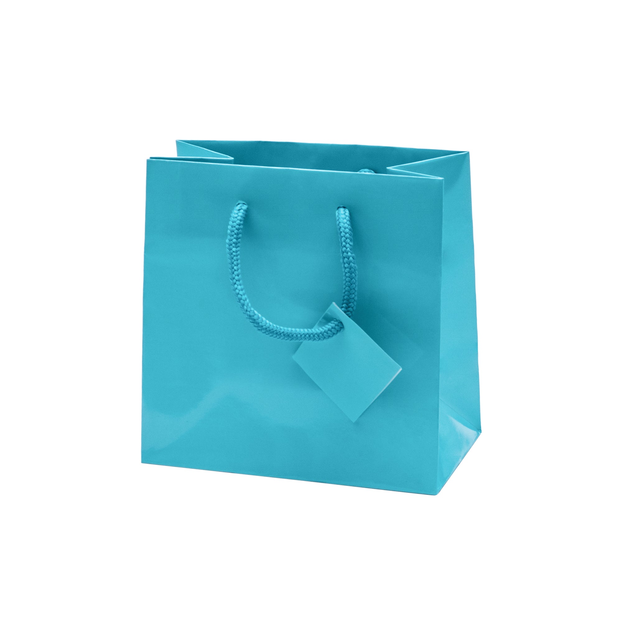 Laminated Glossy Euro Tote Bags