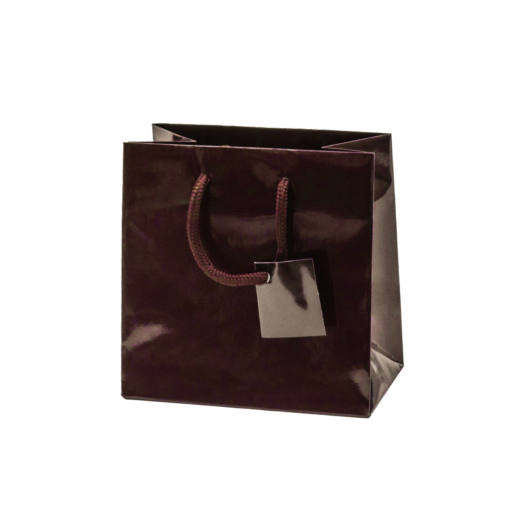 Laminated Glossy Euro Tote Bags