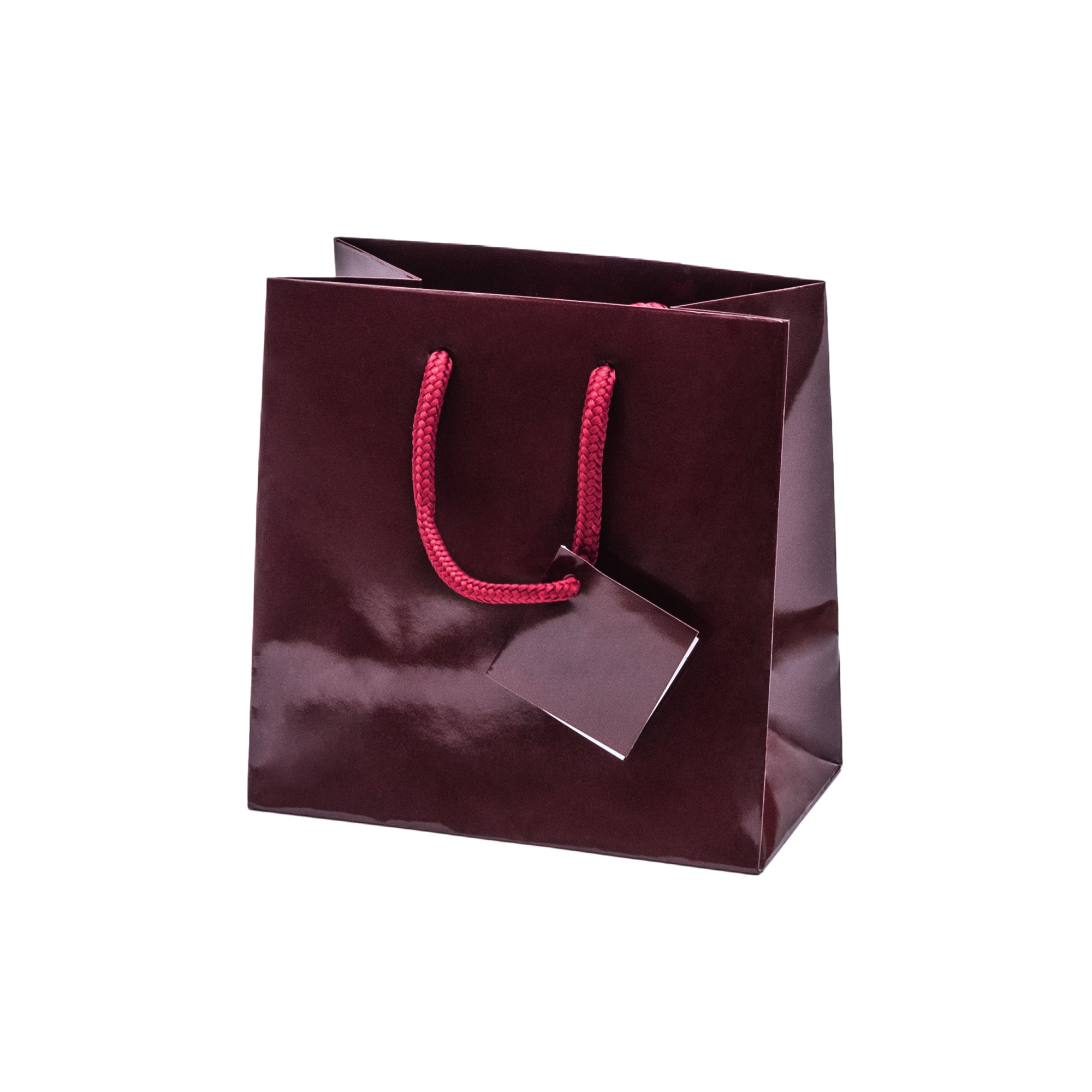 Laminated Glossy Euro Tote Bags