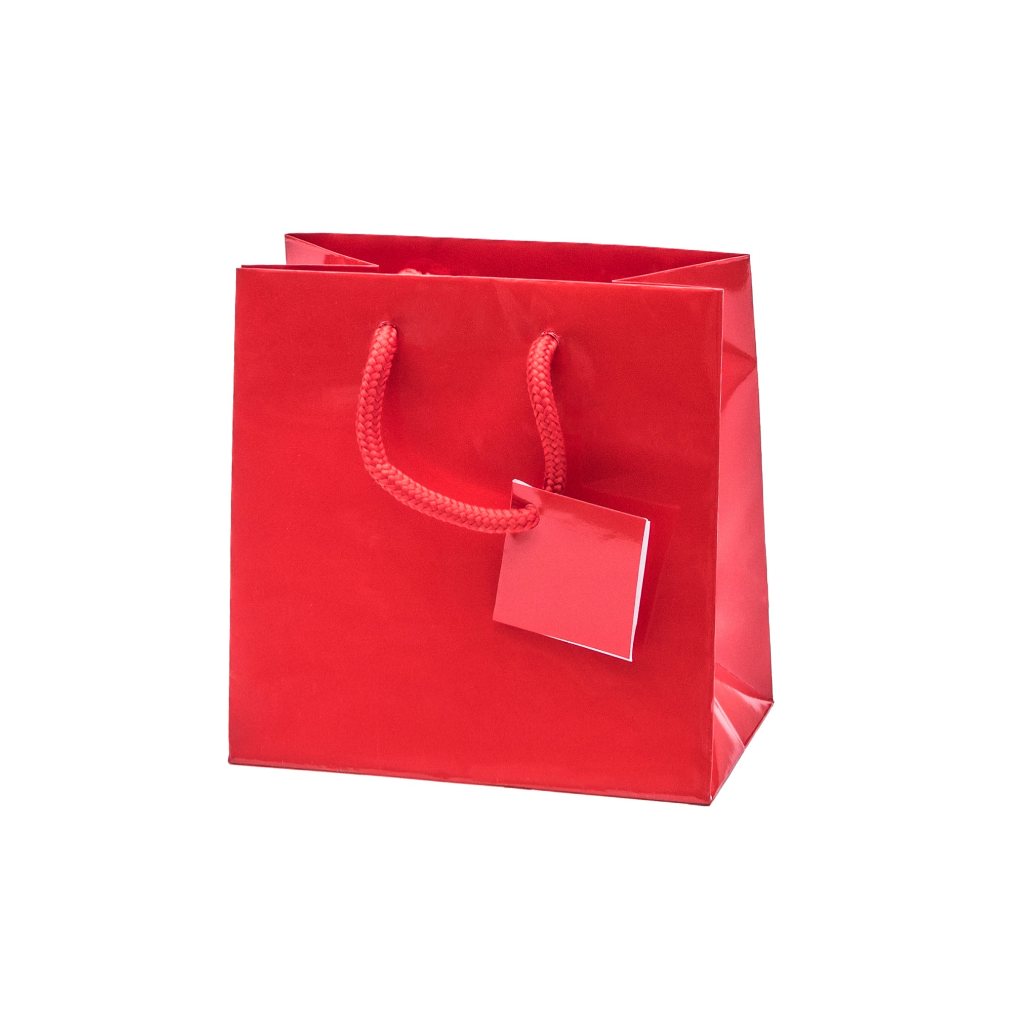 Laminated Glossy Euro Tote Bags
