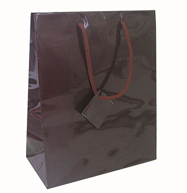 Laminated Glossy Euro Tote Bags