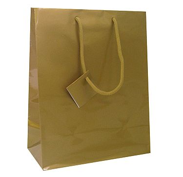 Laminated Glossy Euro Tote Paper Bags