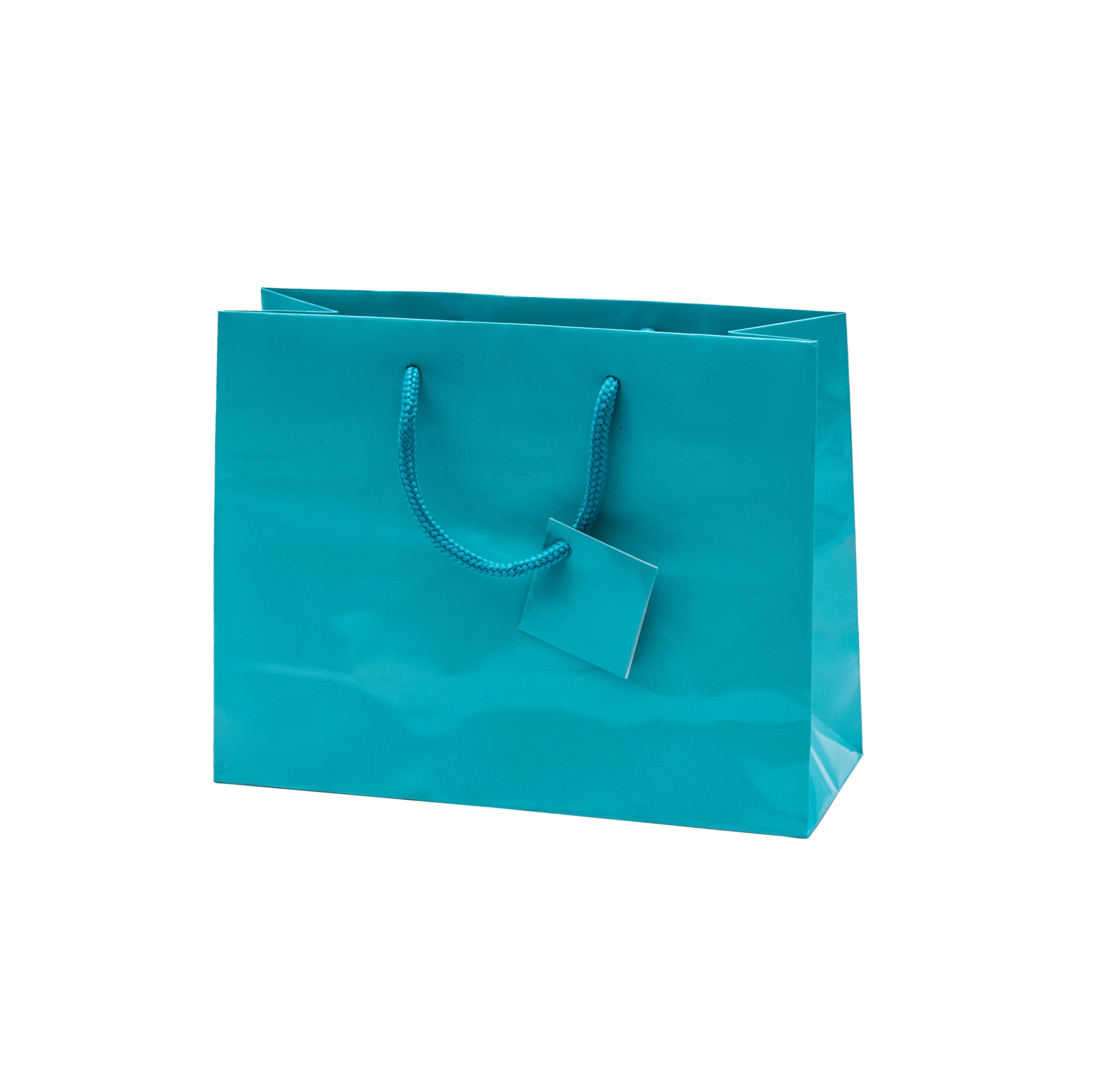Laminated Glossy Euro Tote Bags