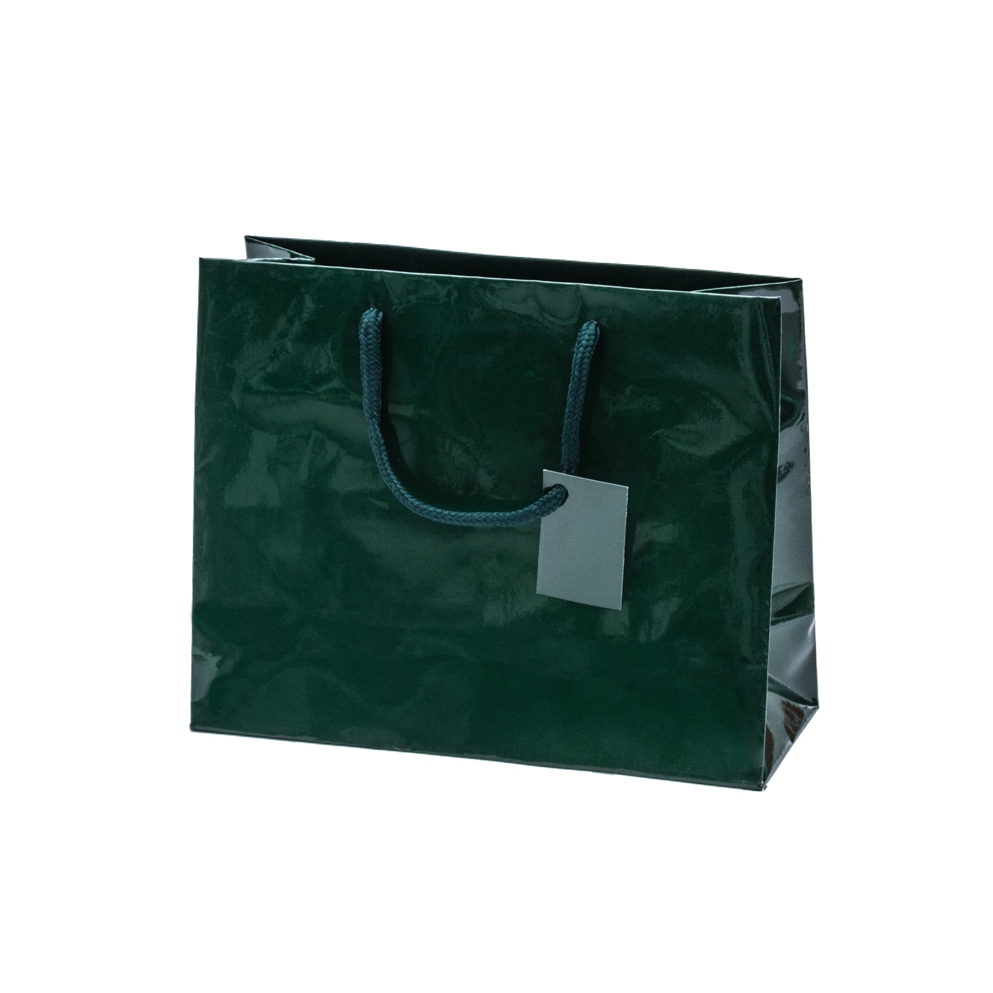 Laminated Glossy Euro Tote Bags