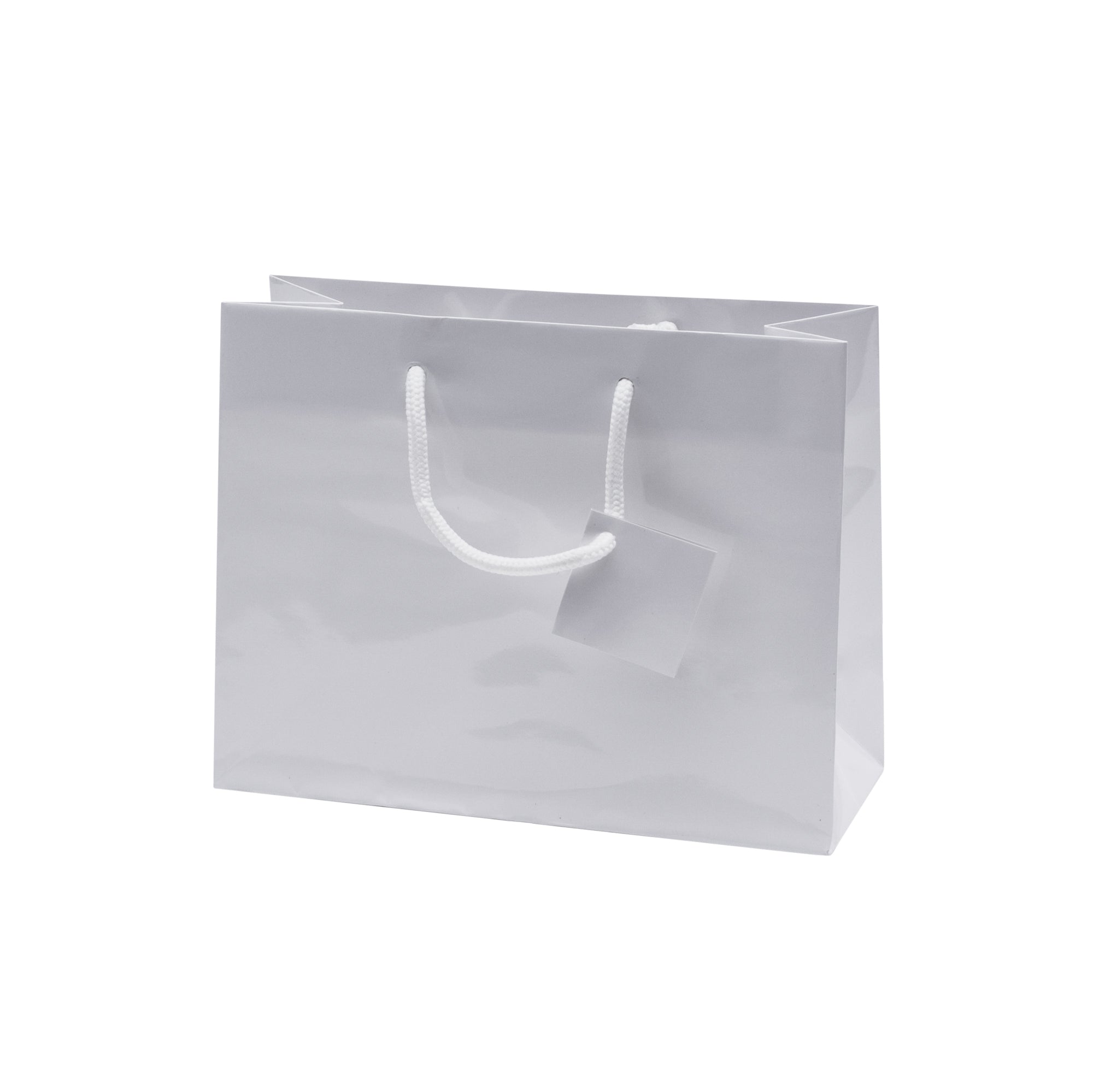 Laminated Glossy Euro Tote Paper Bags