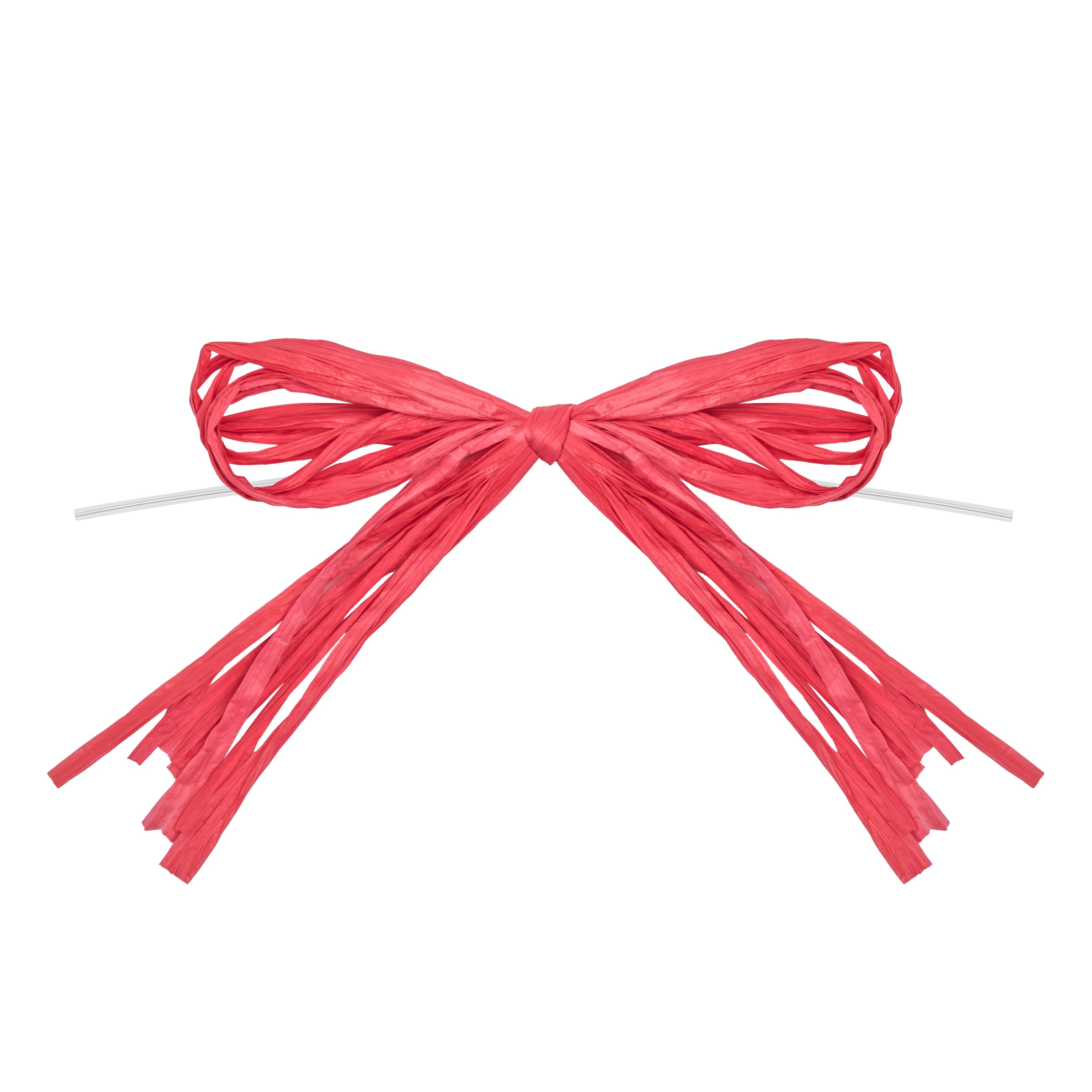 Raffia Bow with Twist Tie