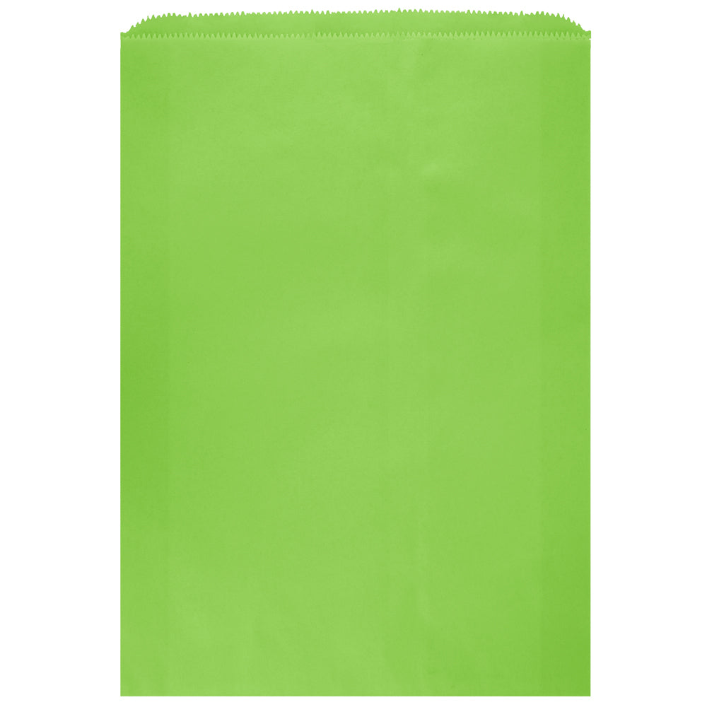 Colored Flat Paper Merchandise Bag