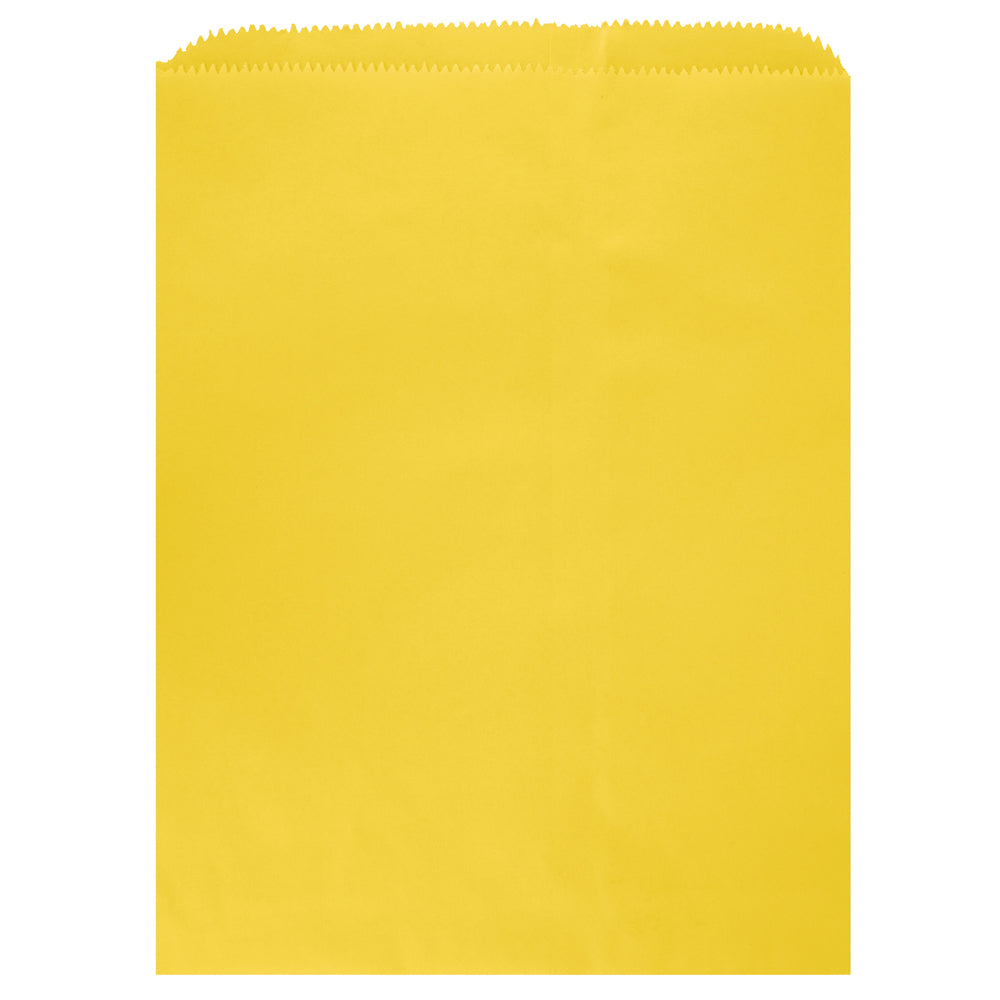 Colored Flat Paper Merchandise Bag