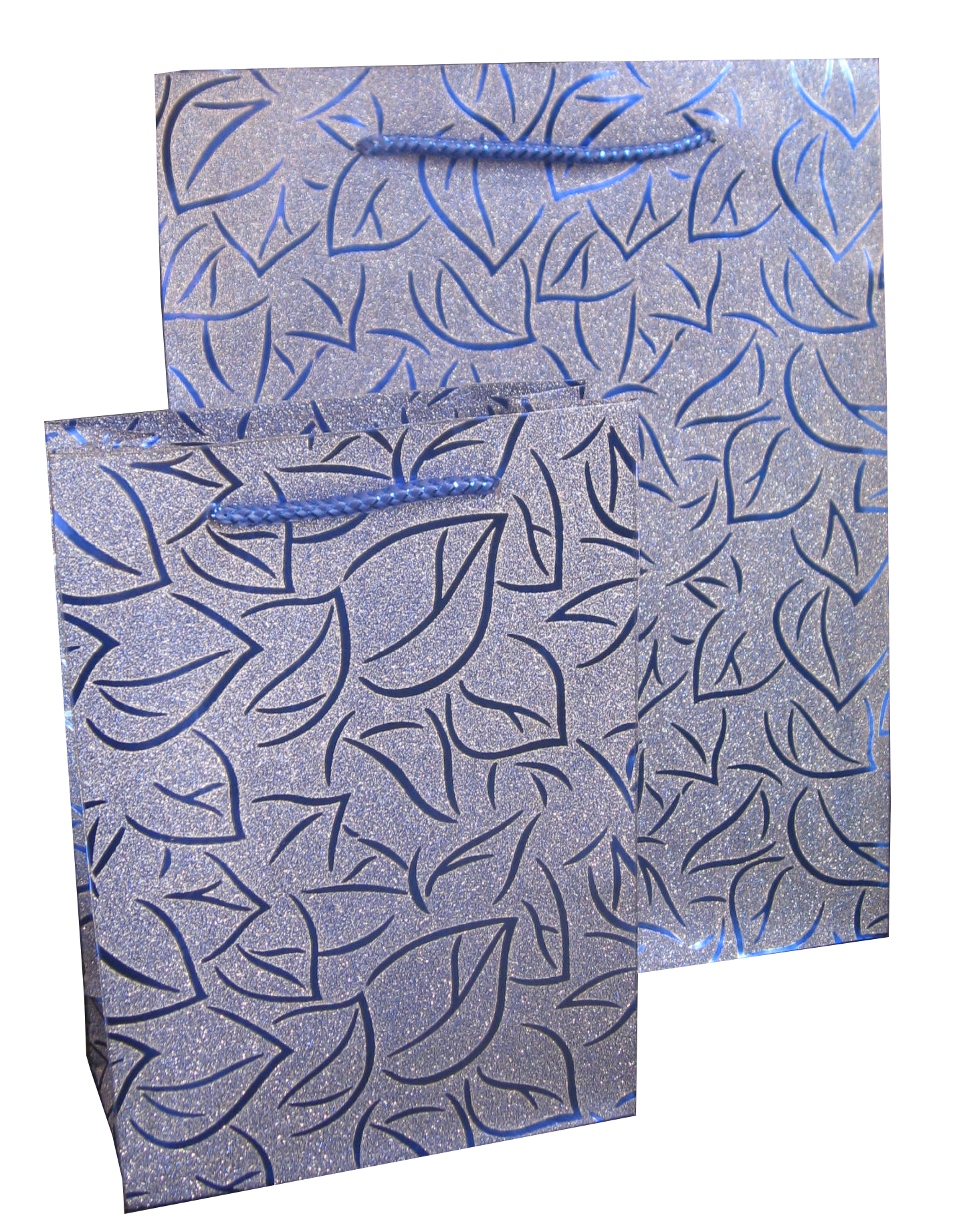 Glitter Bag