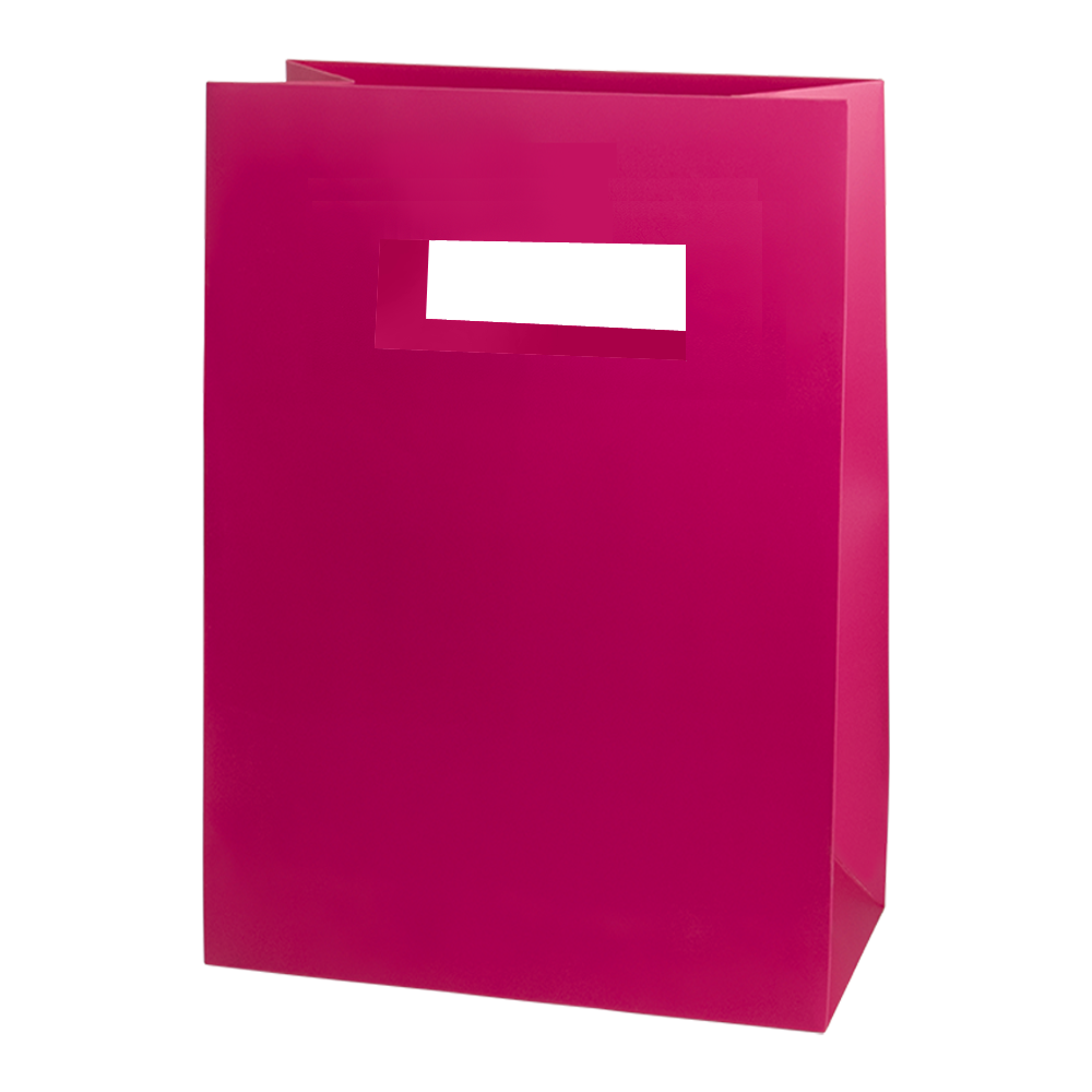 Mod Bag with Die Cut Handles