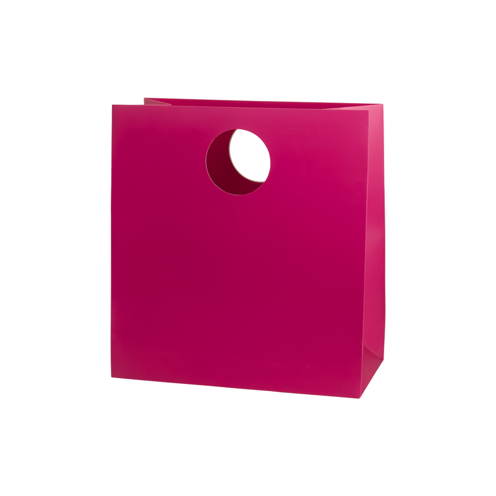 Mod Bag with Die Cut Handles