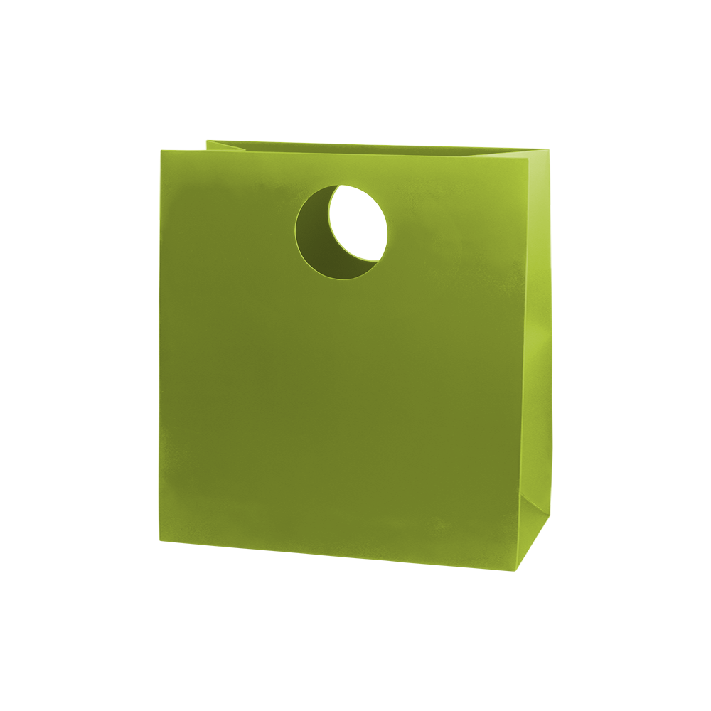 Mod Bag with Die Cut Handles