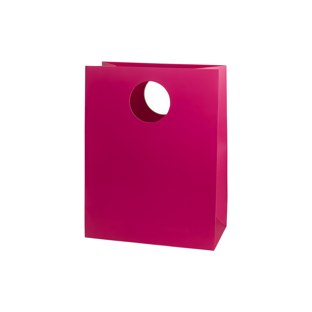 Mod Bag with Die Cut Handles