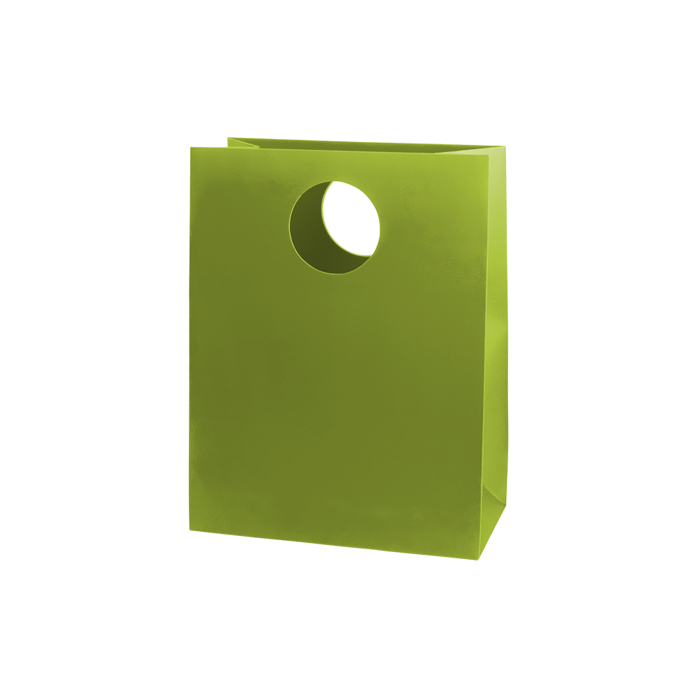 Mod Bag with Die Cut Handles