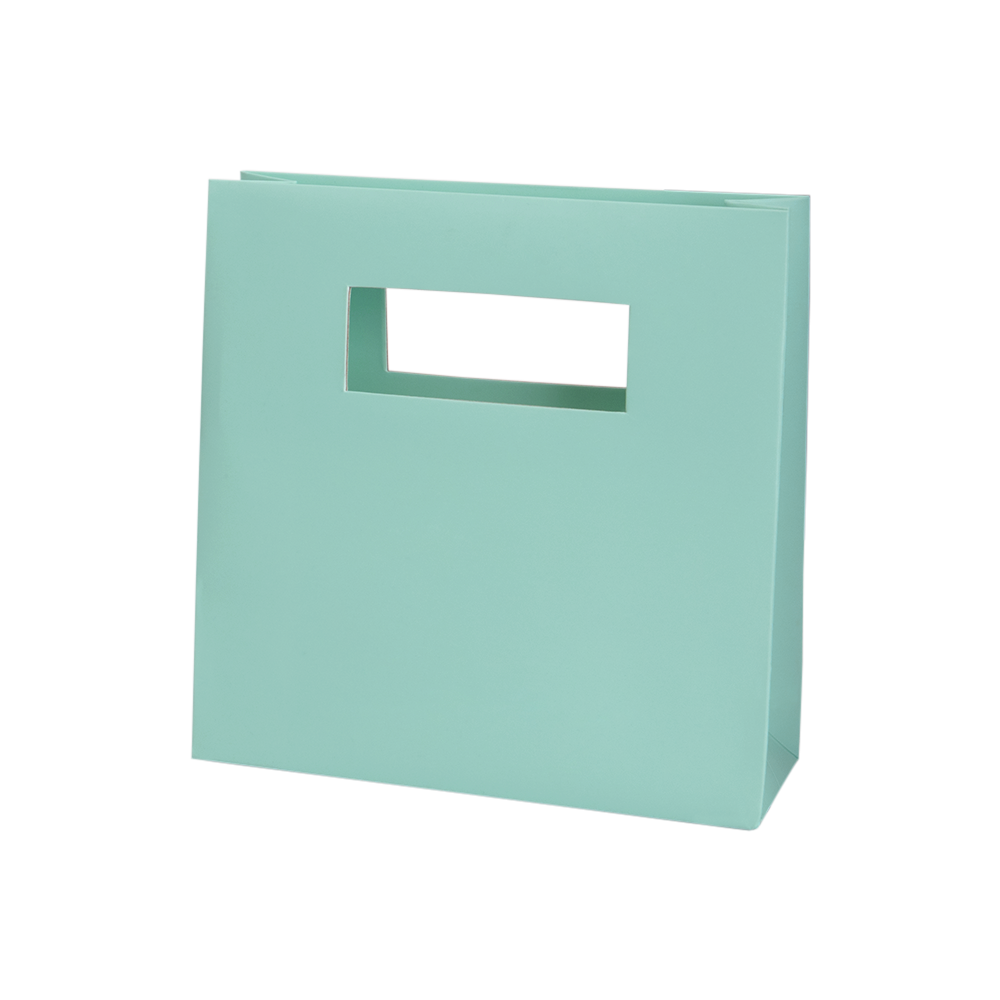 Mod Bag with Die Cut Handles