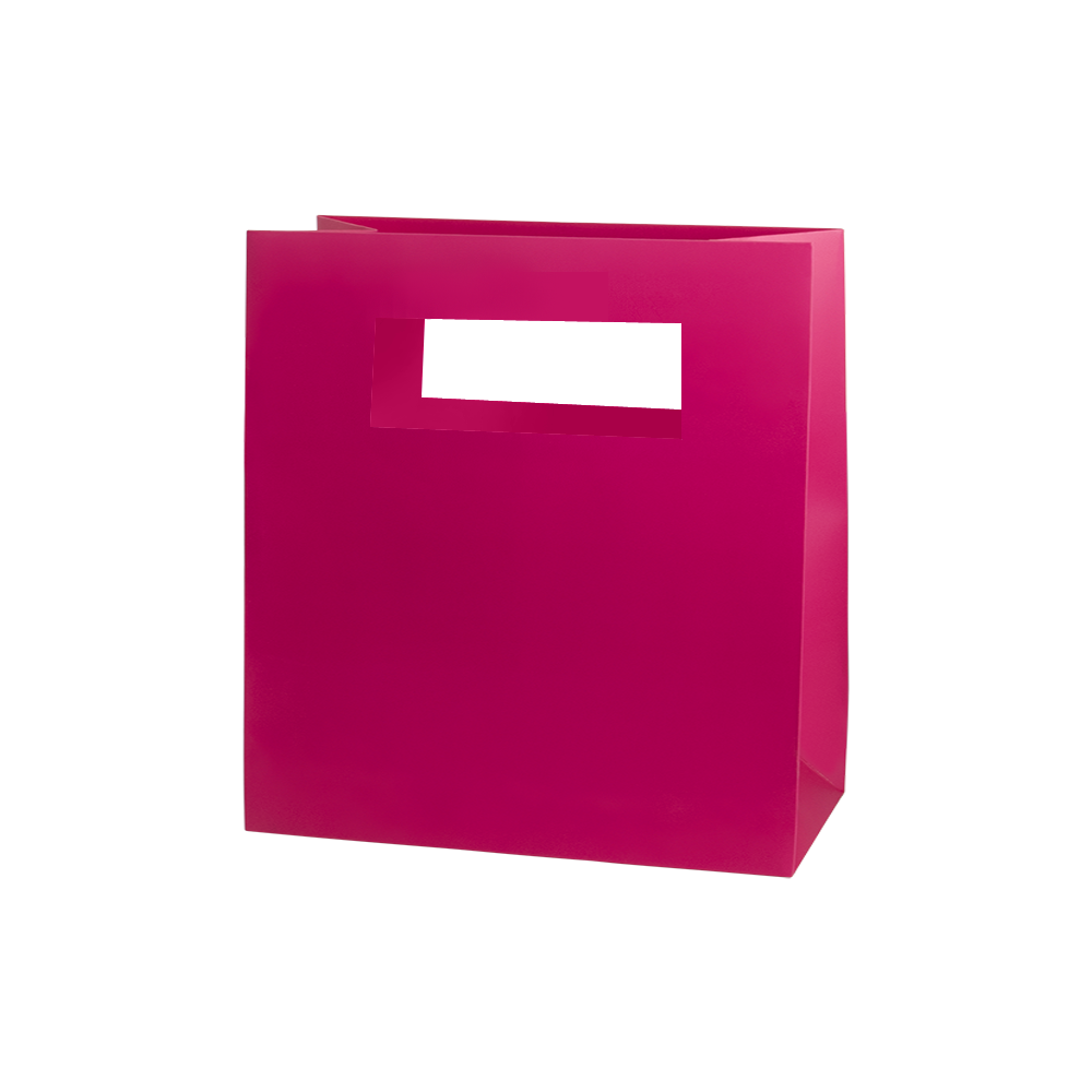 Mod Bag with Die Cut Handles