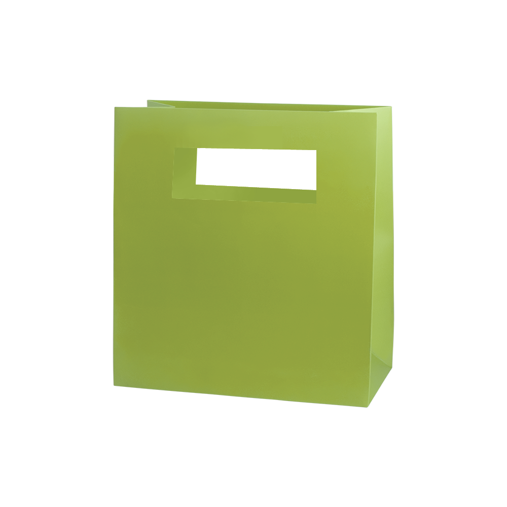 Mod Bag with Die Cut Handles