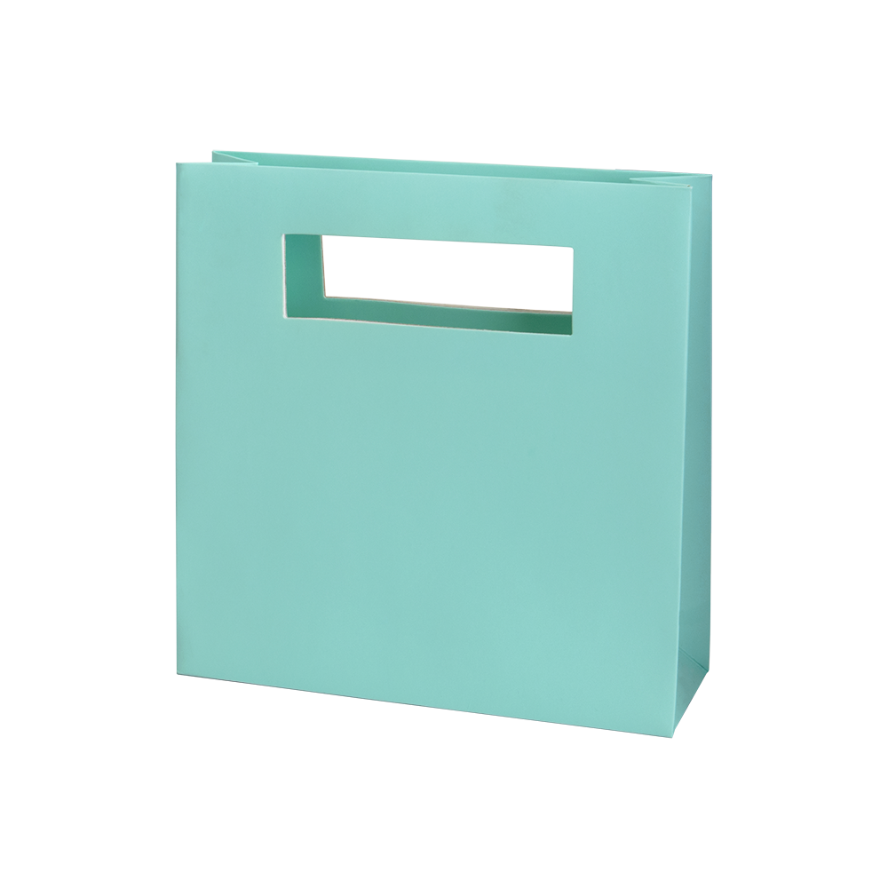 Mod Bag with Die Cut Handles