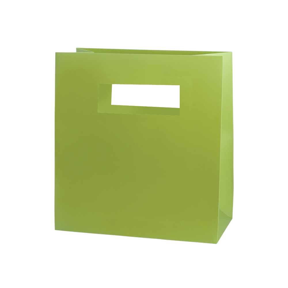 Mod Bag with Die Cut Handles