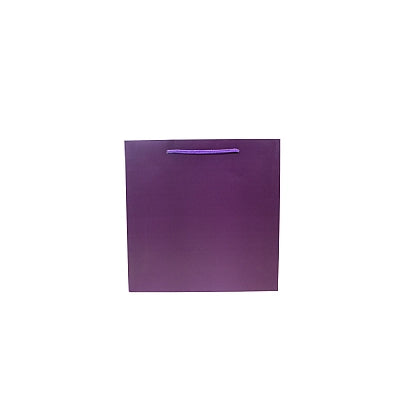 Colored Paper Bag