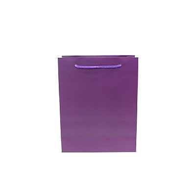Colored Paper Bag