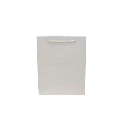 Colored Paper Bag