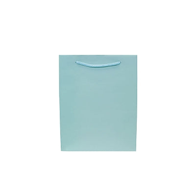 Colored Paper Bag