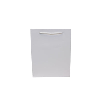 Colored Paper Bag