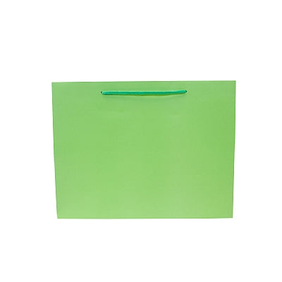 Colored Paper Bag